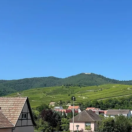 公寓 A2 Pas De Colmar Terrasse,parking *