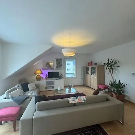 Apartment A2 Pas De Colmar Terrasse,parking Wintzenheim