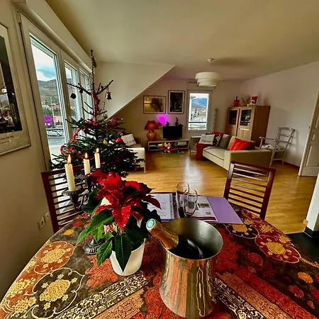 公寓 A2 Pas De Colmar Terrasse,parking 万泽内姆