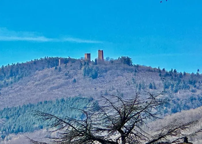 Apartment A2 Pas De Colmar Terrasse,parking Wintzenheim