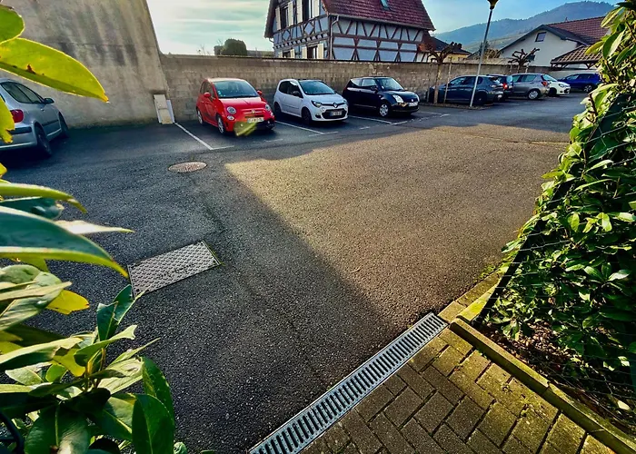 Apartmán A2 Pas De Colmar Terrasse,parking Wintzenheim